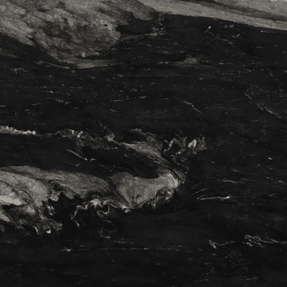 Portinari Black